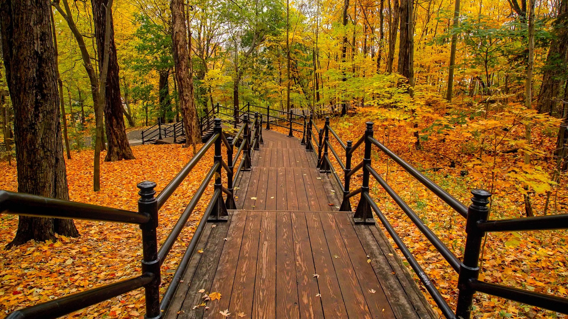 5 Reasons to Book a Reiki Session This Fall